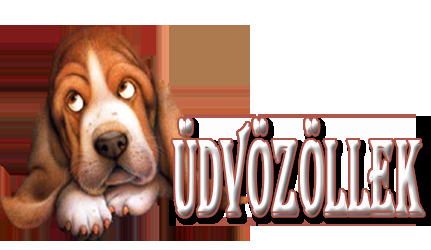 udvozollek_feliratok_015.png
